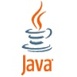 java application development india